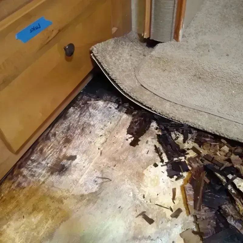 Wood Floor Water Damage in Russell, GA